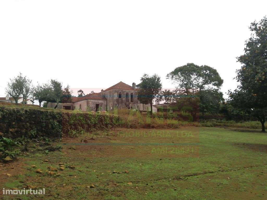 QUINTA - GIÃO - Grande imagem: 3/35