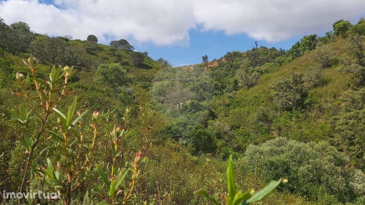 Quinta T2 para venda - Grande imagem: 5/10