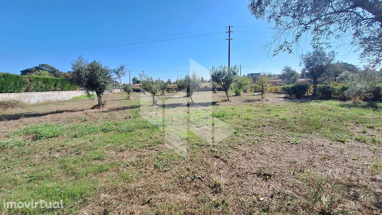 Terreno Para Construção  Venda em Molelos,Tondela - Grande imagem: 2/7