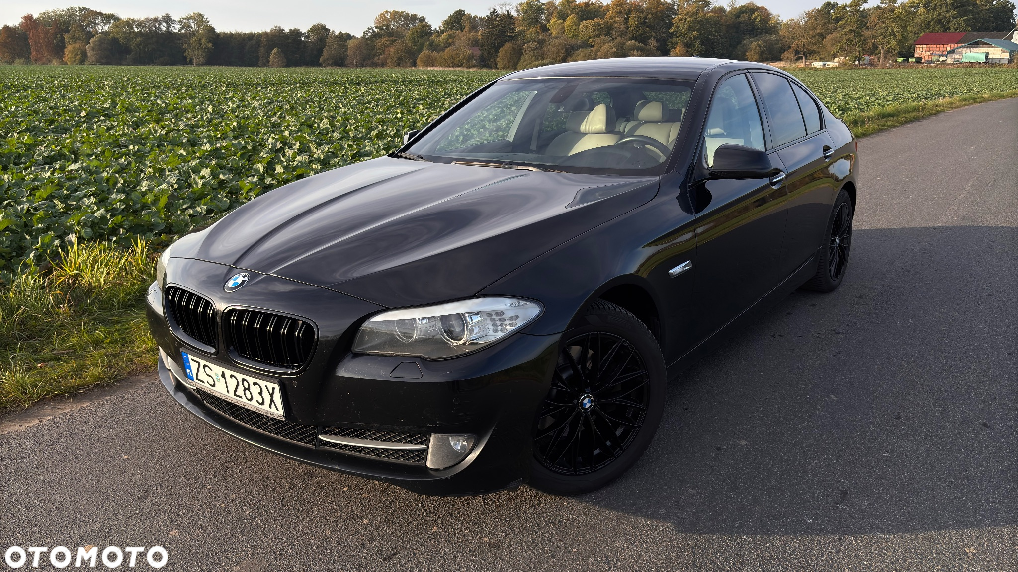 BMW Seria 5 - 3