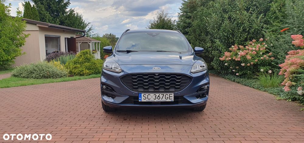 Ford Kuga 2.5 FHEV FWD ST-Line - 14