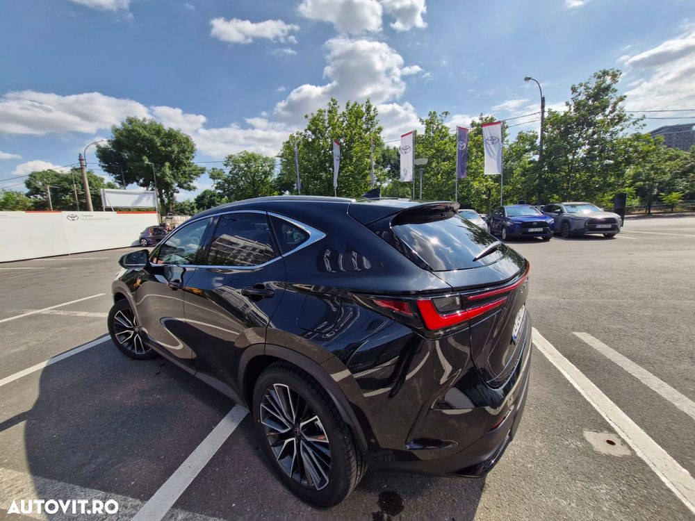 Lexus Seria NX - 7