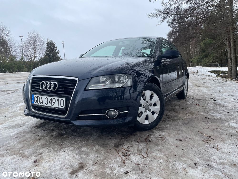 Audi A3 3-drzwiowe 1.6 TDI DPF Ambiente - 2