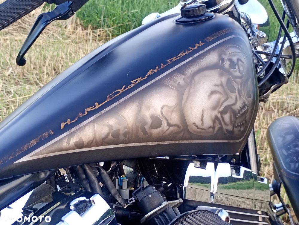 Harley-Davidson Softail - 3