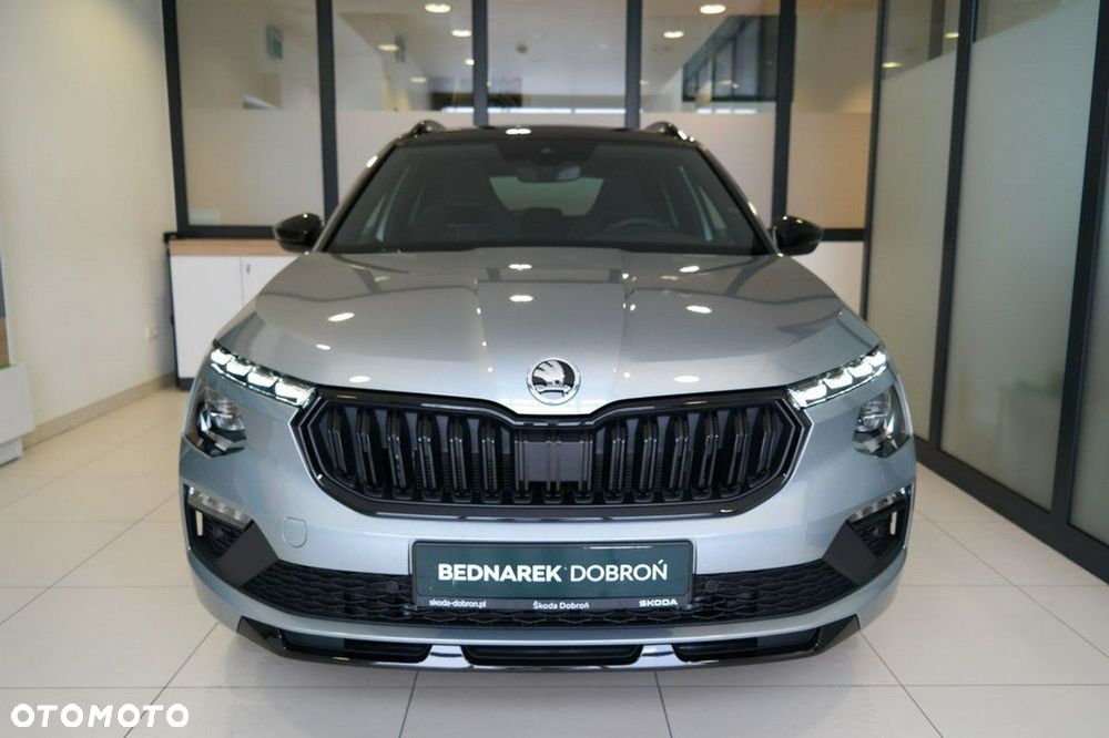 Skoda Kamiq - 3