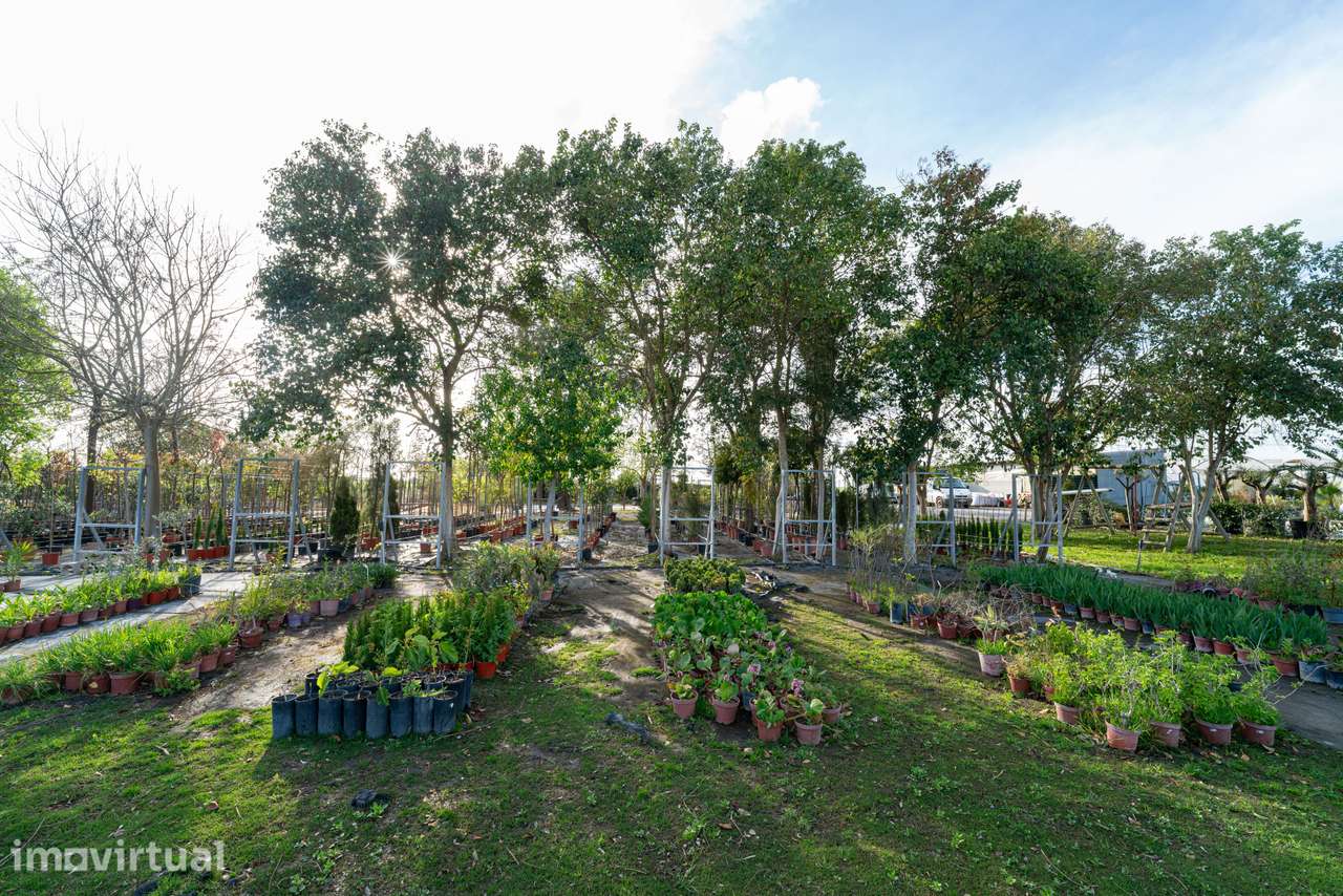 Trespasse de Centro de Jardinagem – Negócio Completo e Equipado - Beja - Grande imagem: 5/27