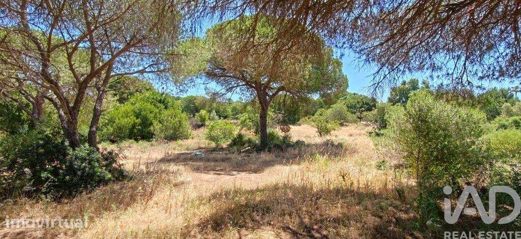 Terreno Agrícola em Quarteira - Grande imagem: 4/18