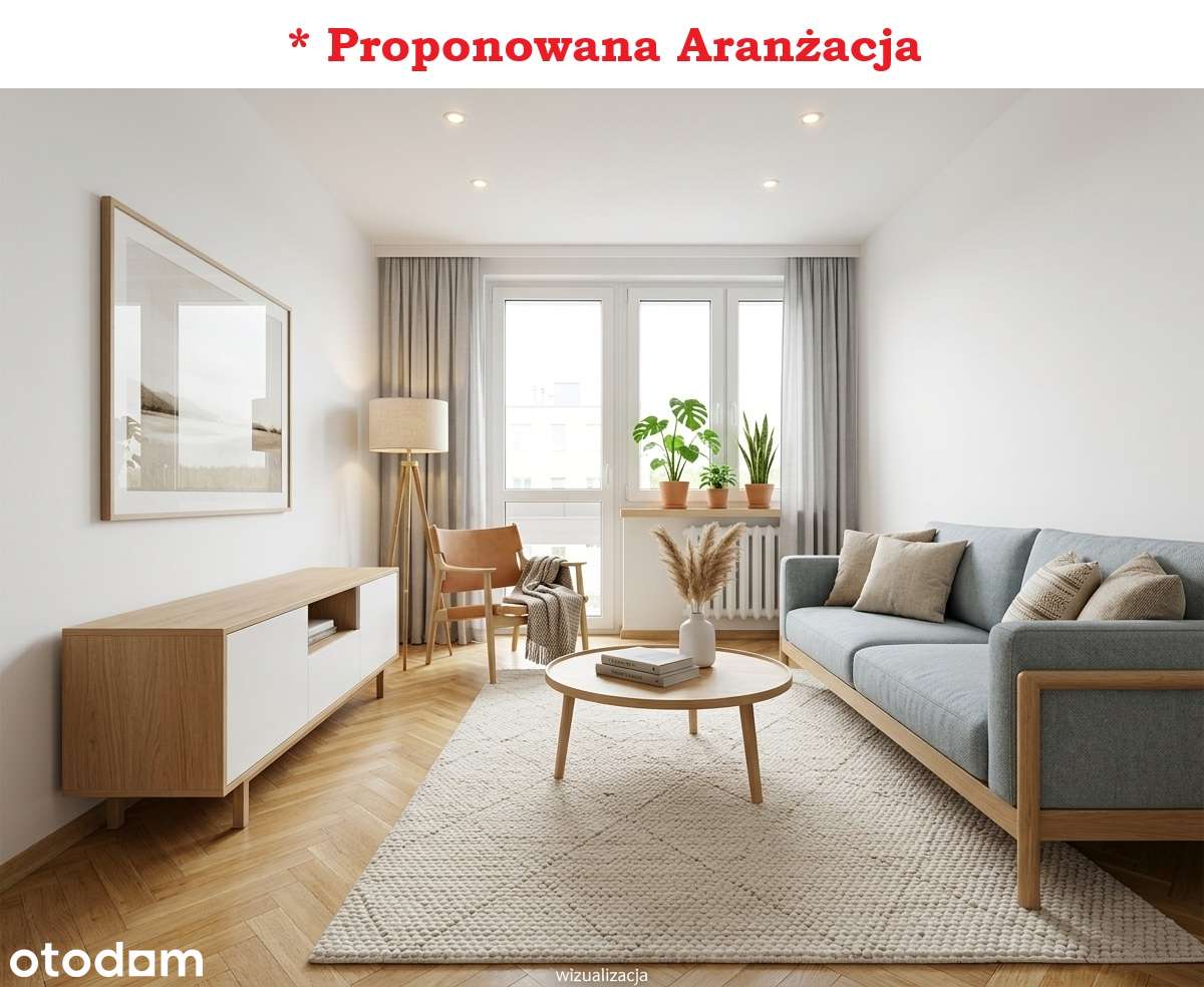 Sosnowiec ul. Kalinowa : wyposażone 2 pokoje + balkon, tuż obok parku.