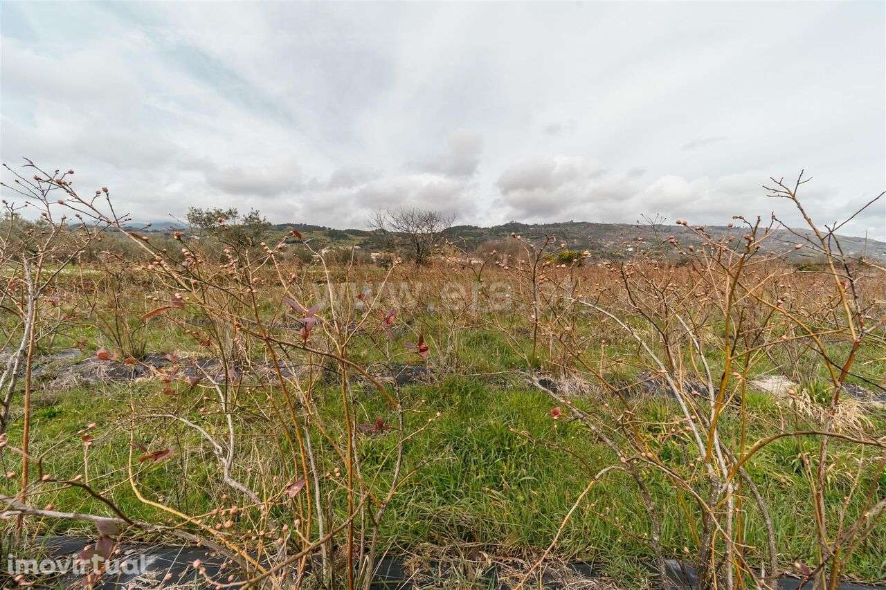 Terreno Rústico / Covilhã, Orjais - Grande imagem: 5/18