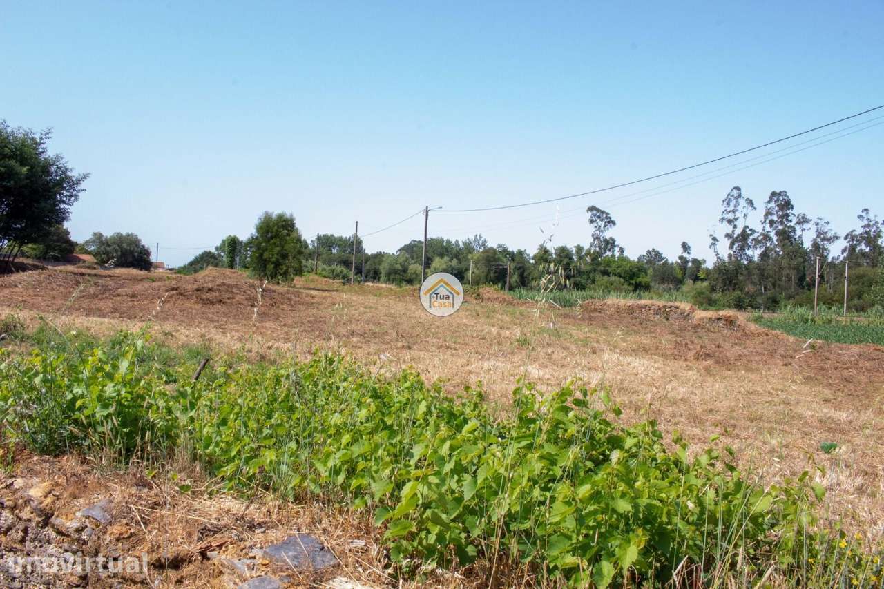 Terreno para Promoção Habitacional – Ovar - Grande imagem: 2/18