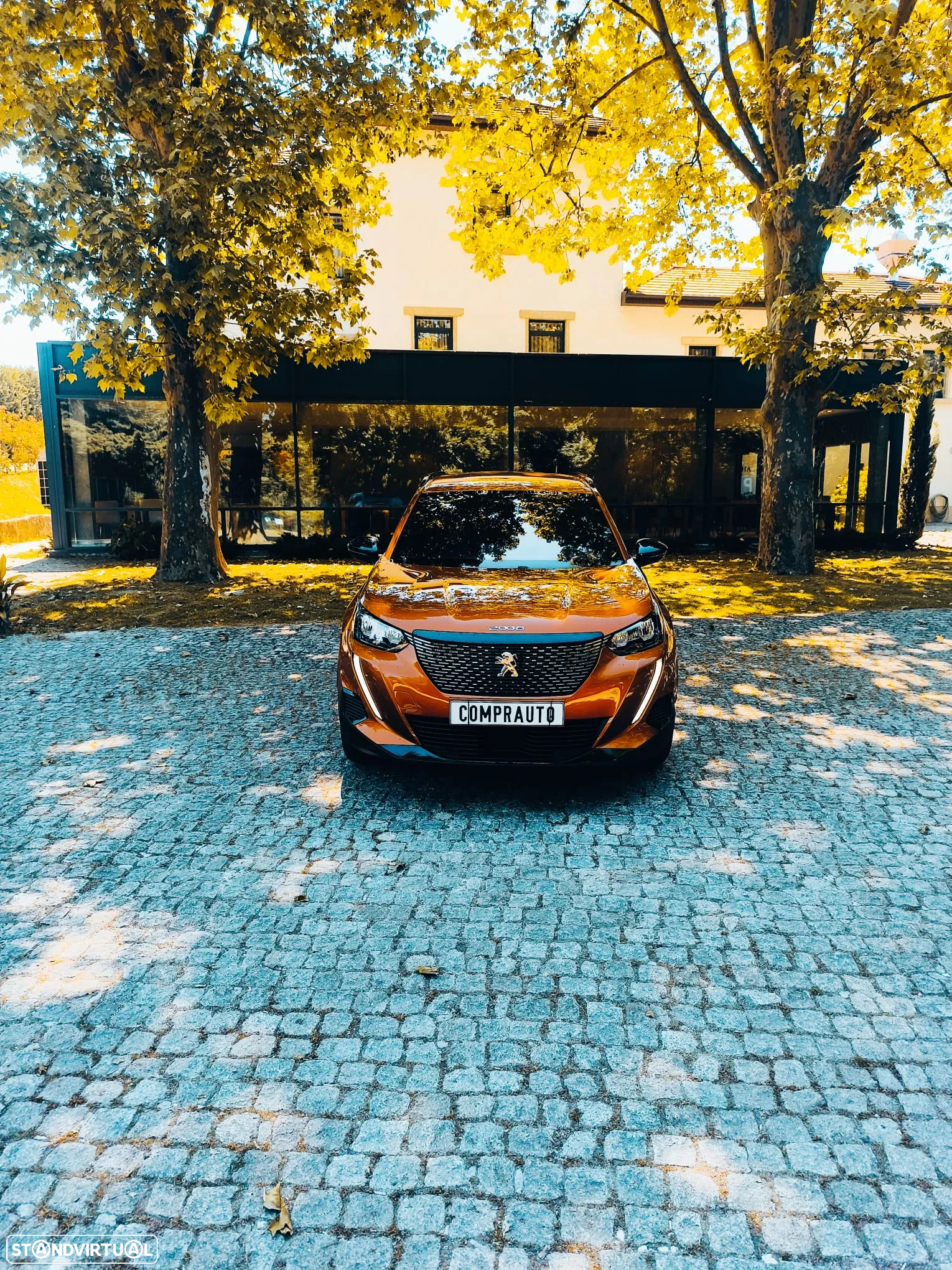 Peugeot 2008 - 2