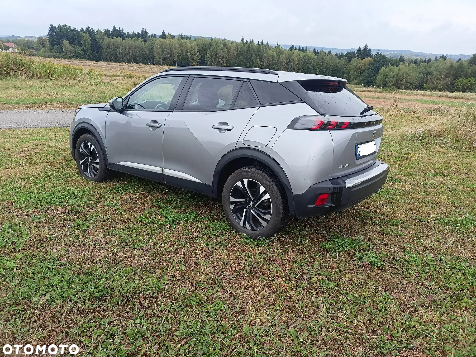 Peugeot 2008 BlueHDi 130 Allure S&S EAT8 - 3