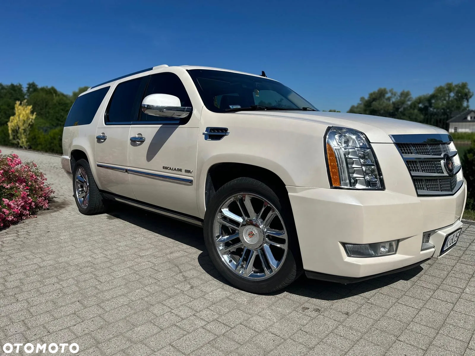 Cadillac Escalade 6.2 V8 Platinum - 7