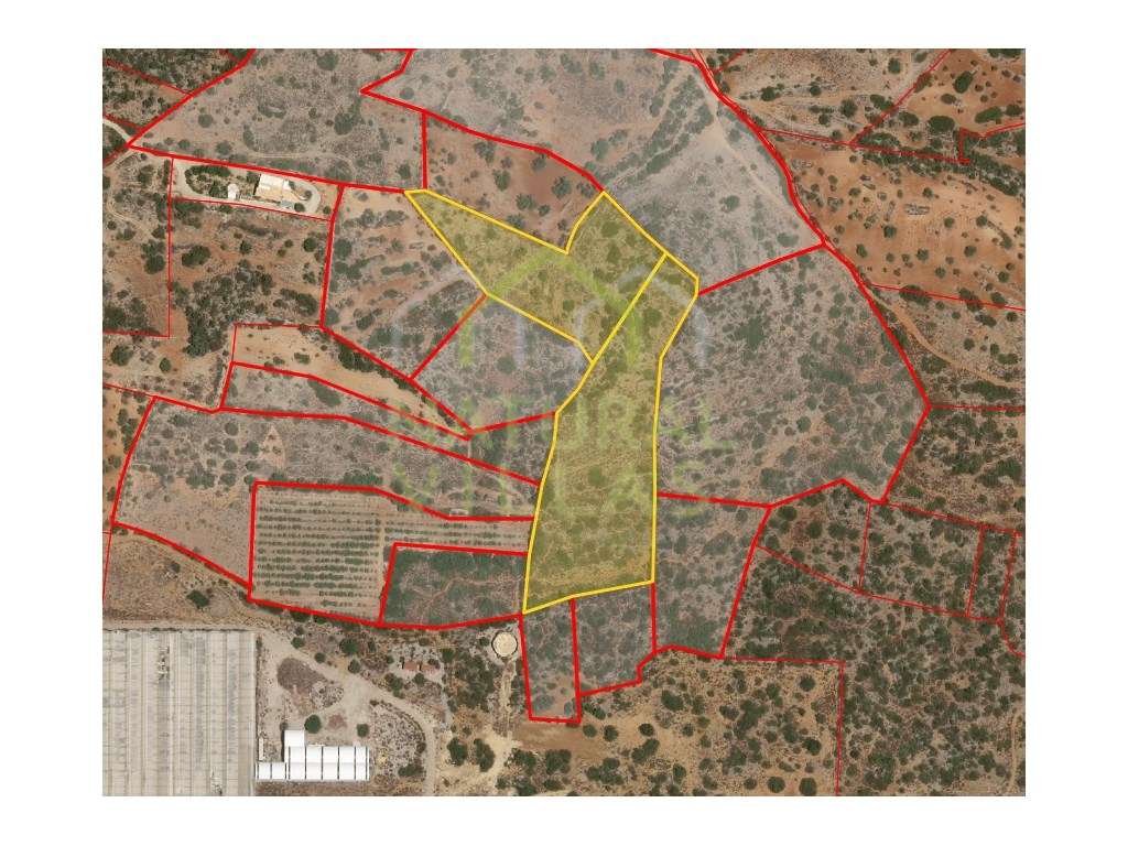 Terrenos Rústicos com Vista Mar Panorâmica, Estoi - Grande imagem: 3/3