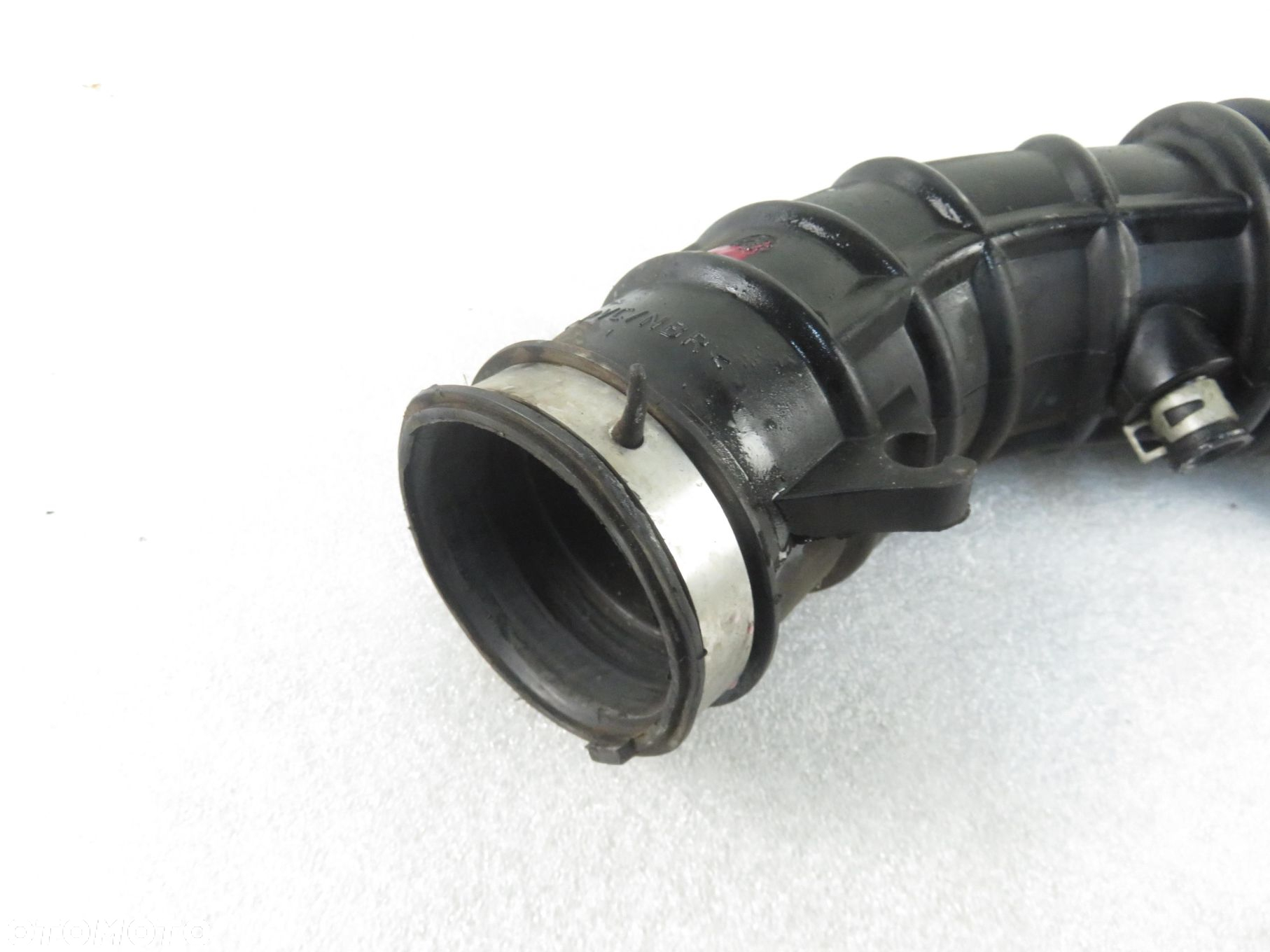 RURA DOLOTU HONDA ACCORD VI 2.0 VTEC 147 - F20B6 - 5