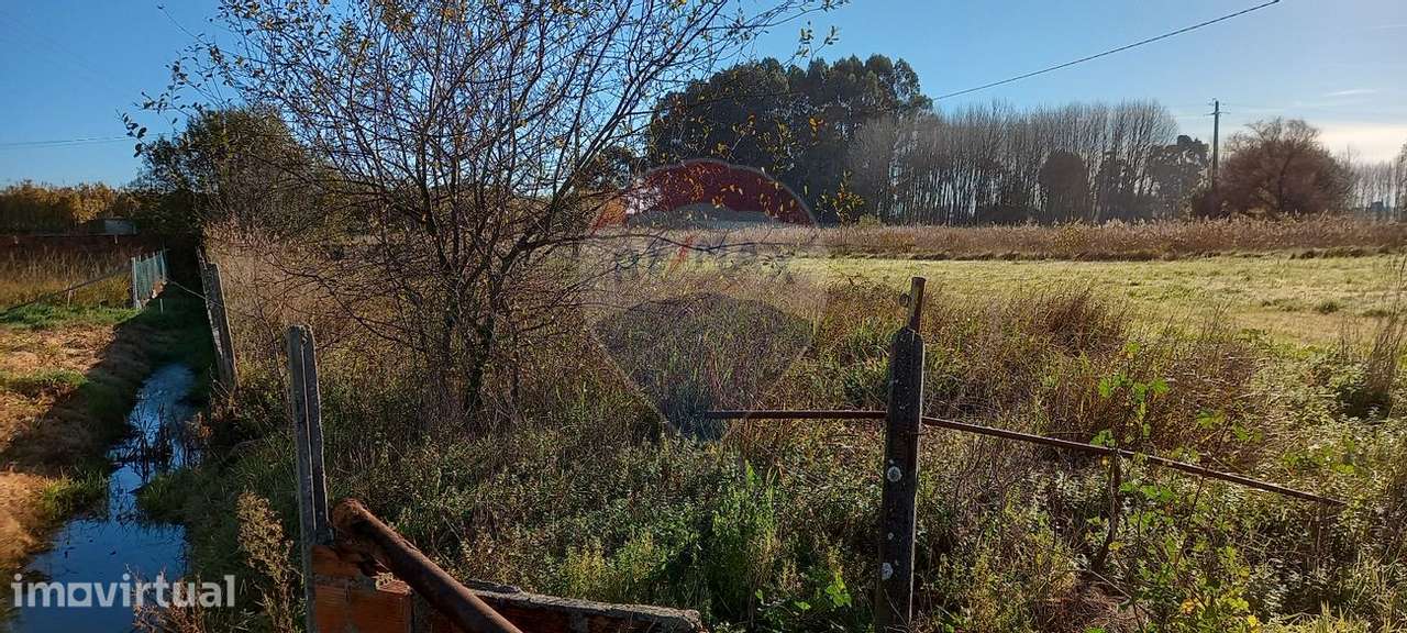 Terreno  para venda - Grande imagem: 3/6