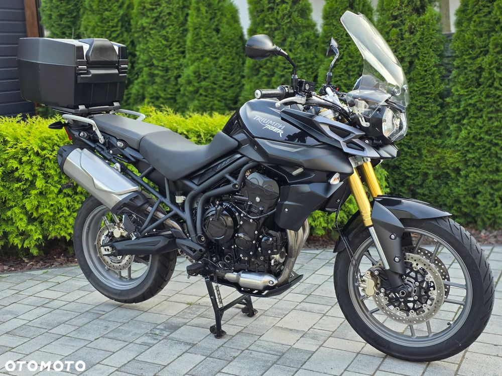 Triumph Tiger - 1