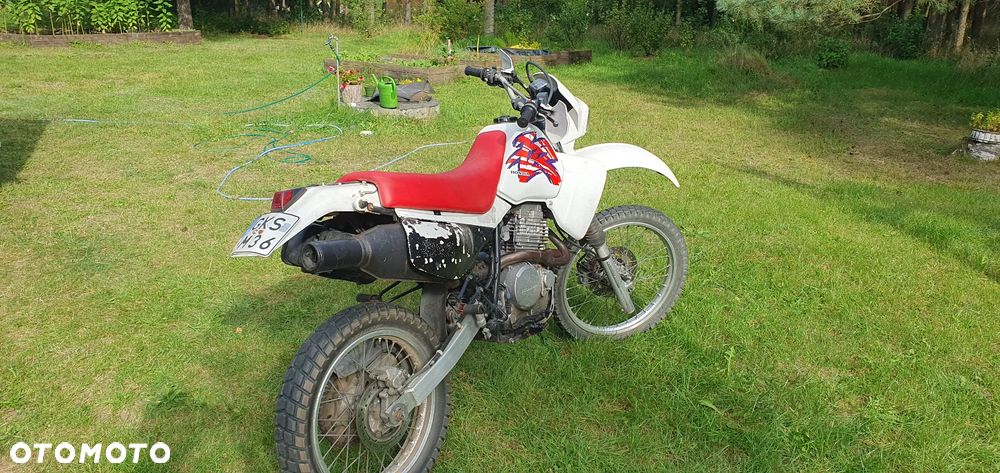 Honda XLR