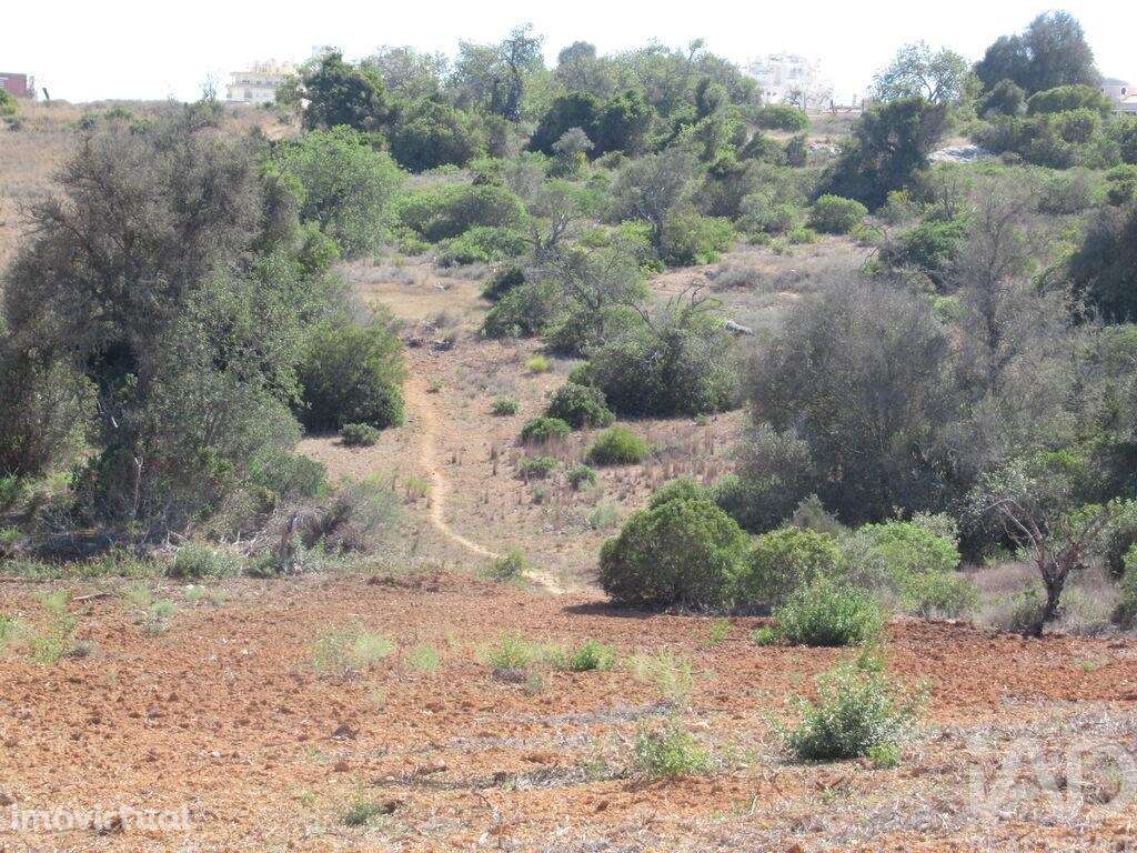 Terreno em Armação de Pêra de 51360,00 m2 - Grande imagem: 3/5