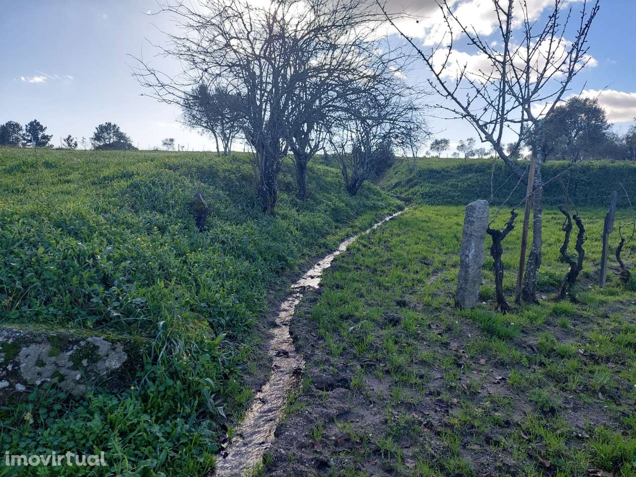 Quinta  Venda em Ribamondego,Gouveia - Grande imagem: 5/11