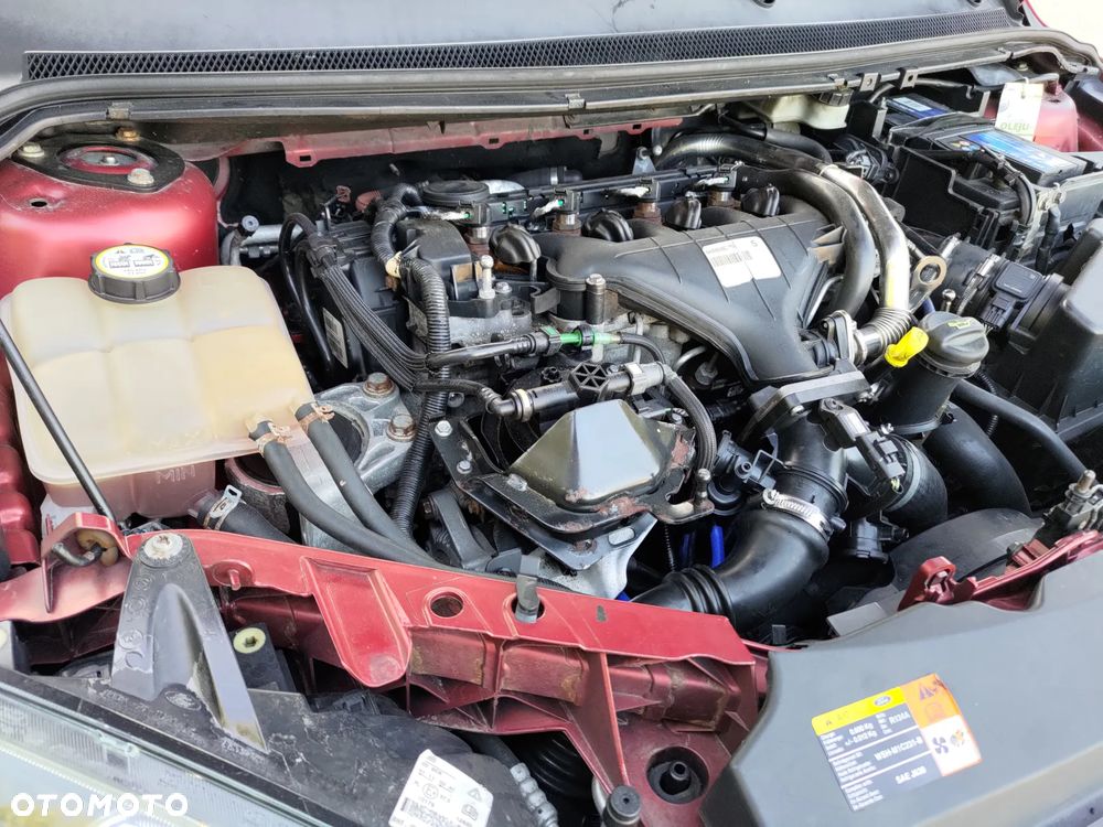 Ford Focus - 6