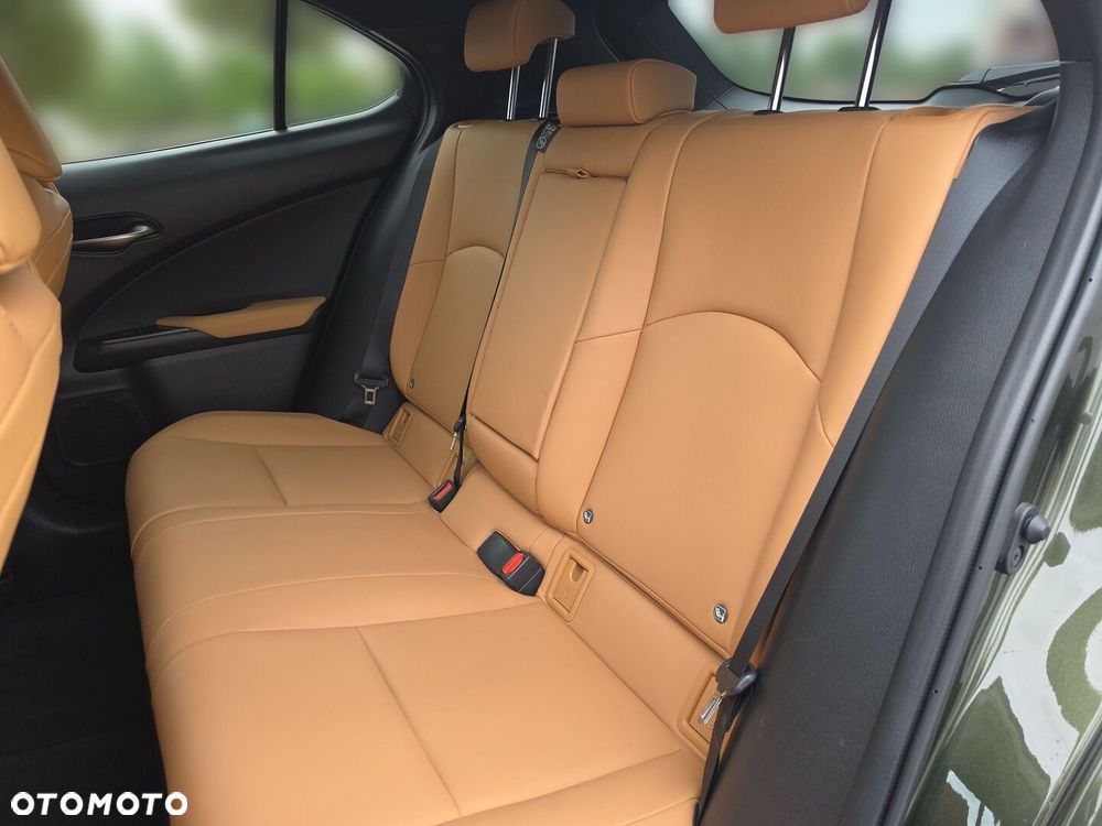 Lexus UX 300h F Sport Design - 29