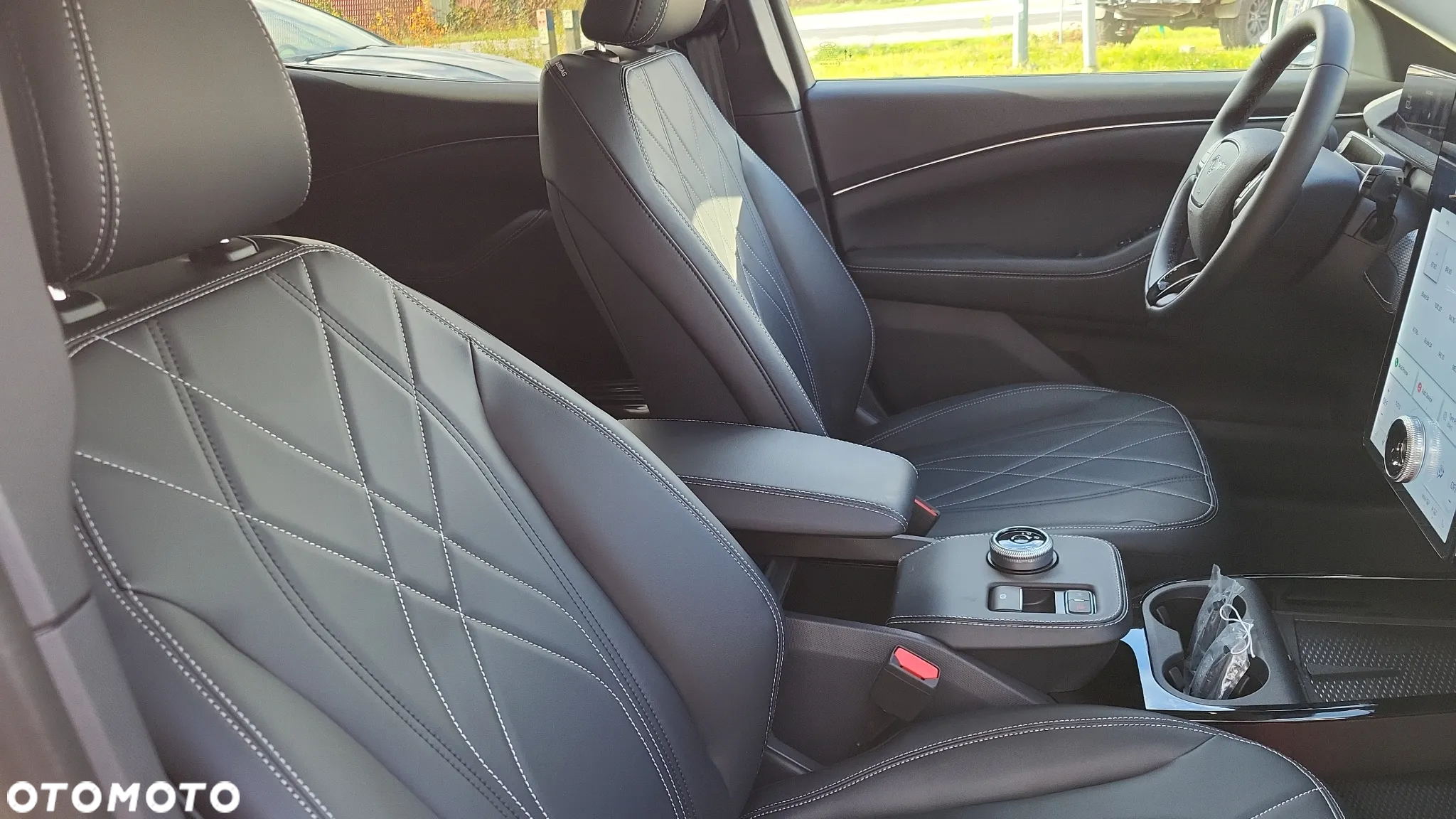 Ford Mustang Mach-E 75kWh RWD - 16
