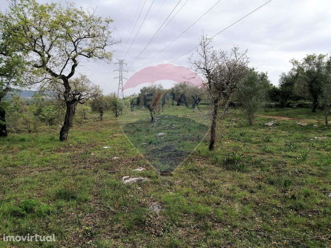 Terreno  para venda - Grande imagem: 4/8