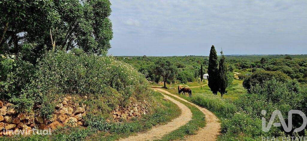 Terreno em Barão de São Miguel - Grande imagem: 2/35