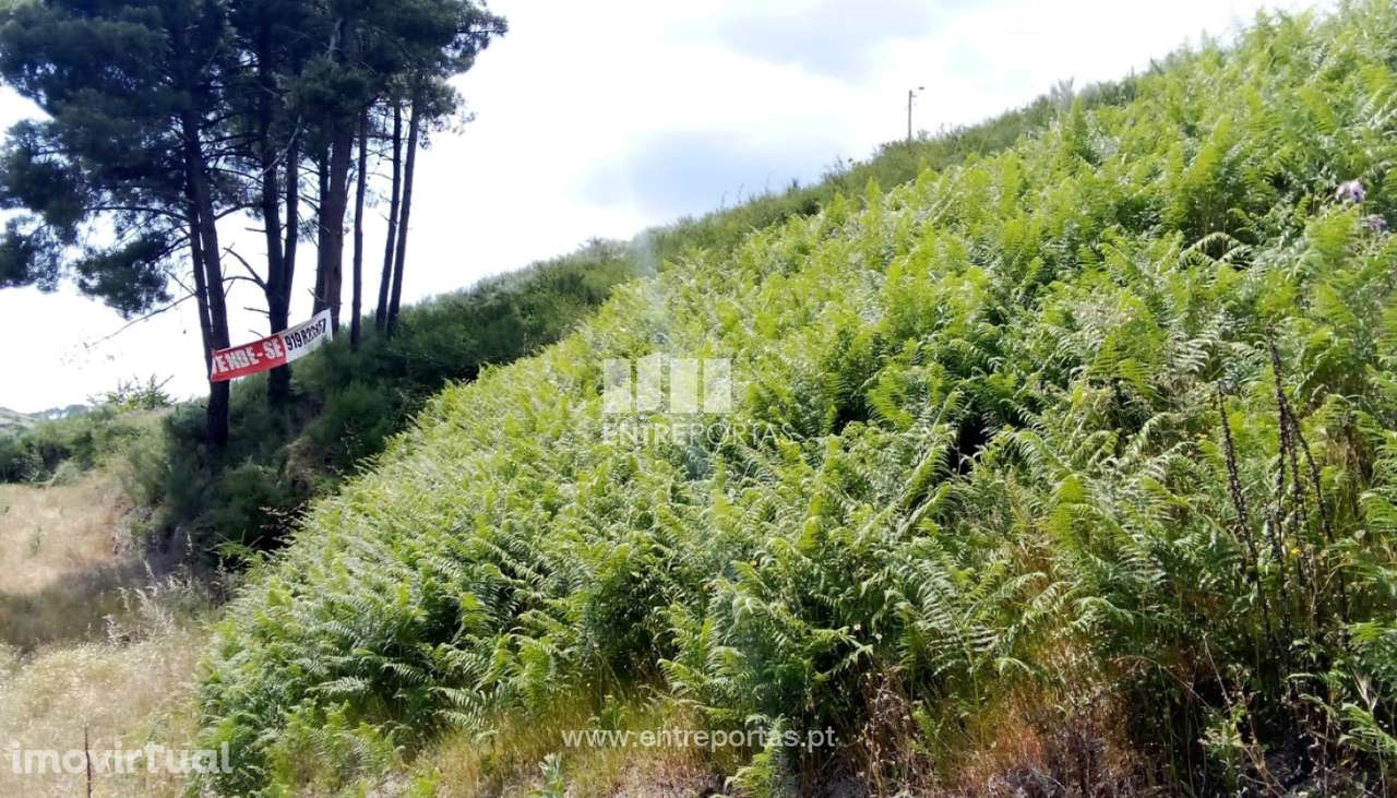 Venda Terreno, Valadares, Baião - Grande imagem: 5/24