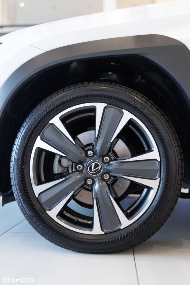 Lexus UX 300h Business - 19