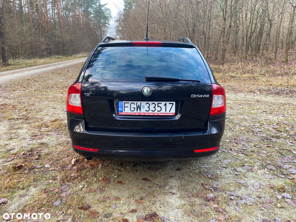 Skoda Octavia 1.6 TDI DPF Ambiente - 34