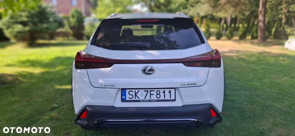 Lexus UX 200 GPF F Sport Design+ 2WD - 9