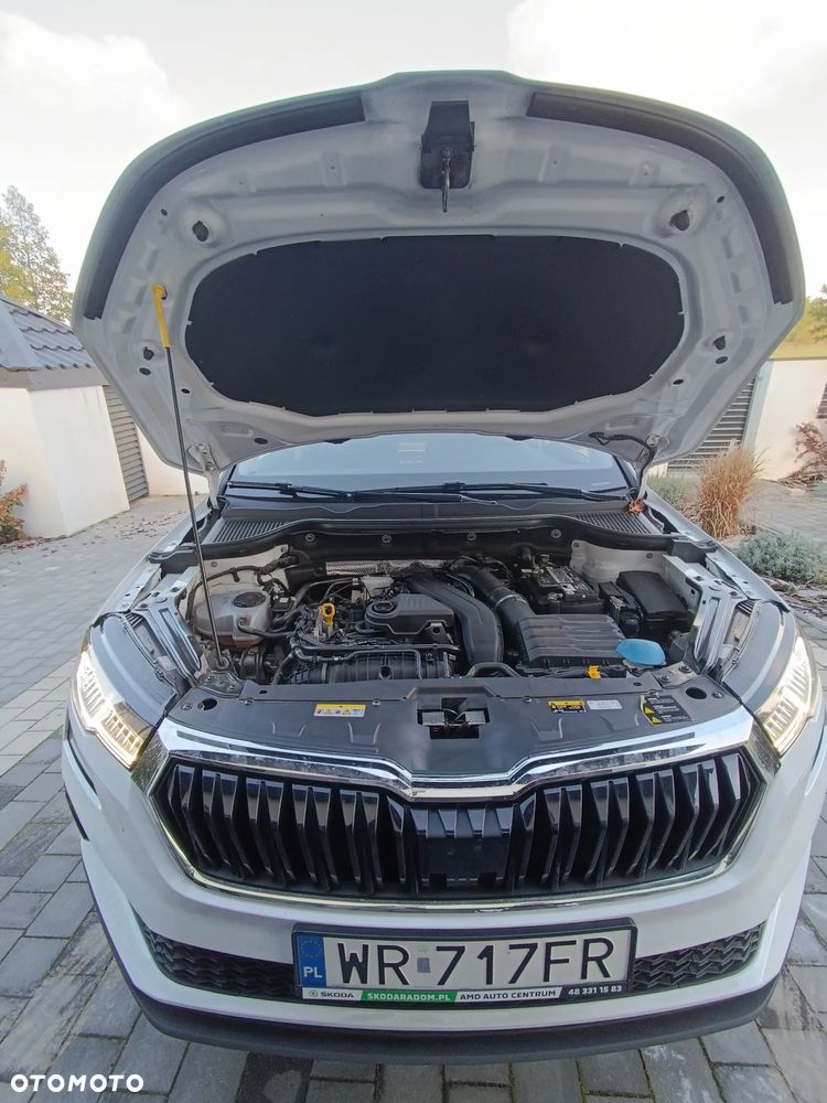 Skoda Karoq - 18