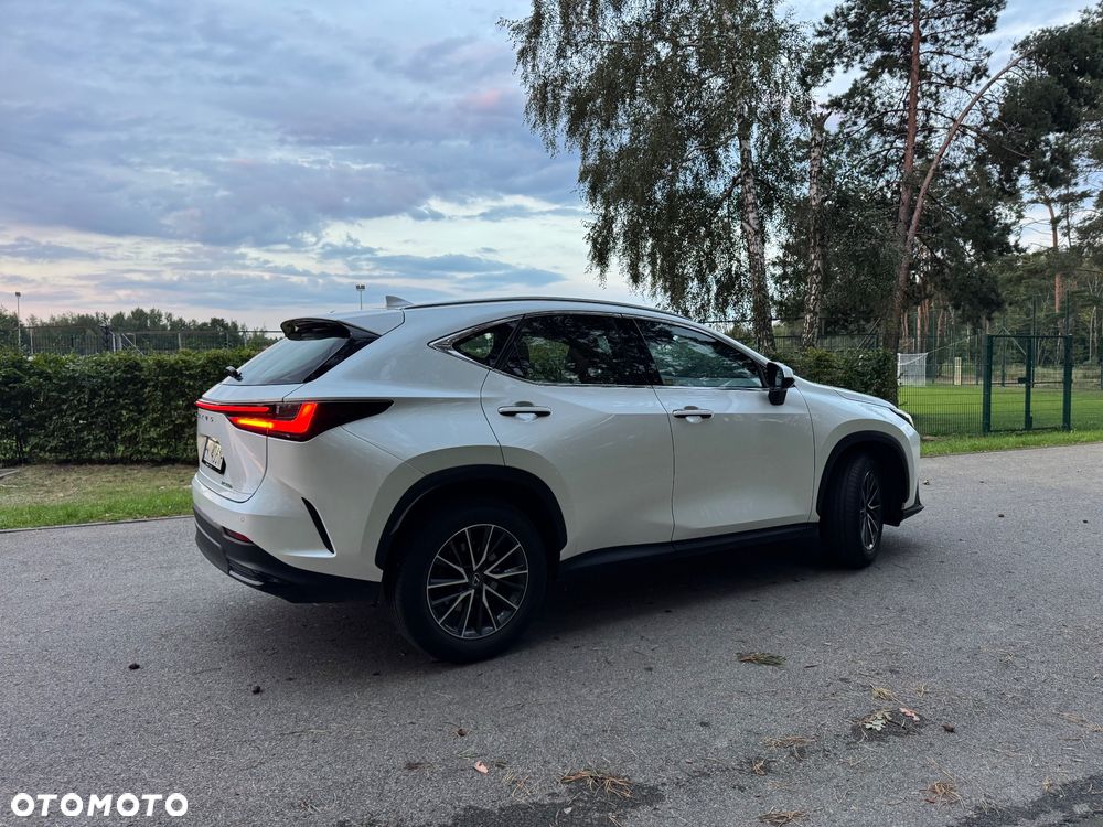 Lexus NX 350h Elegance 2WD - 5