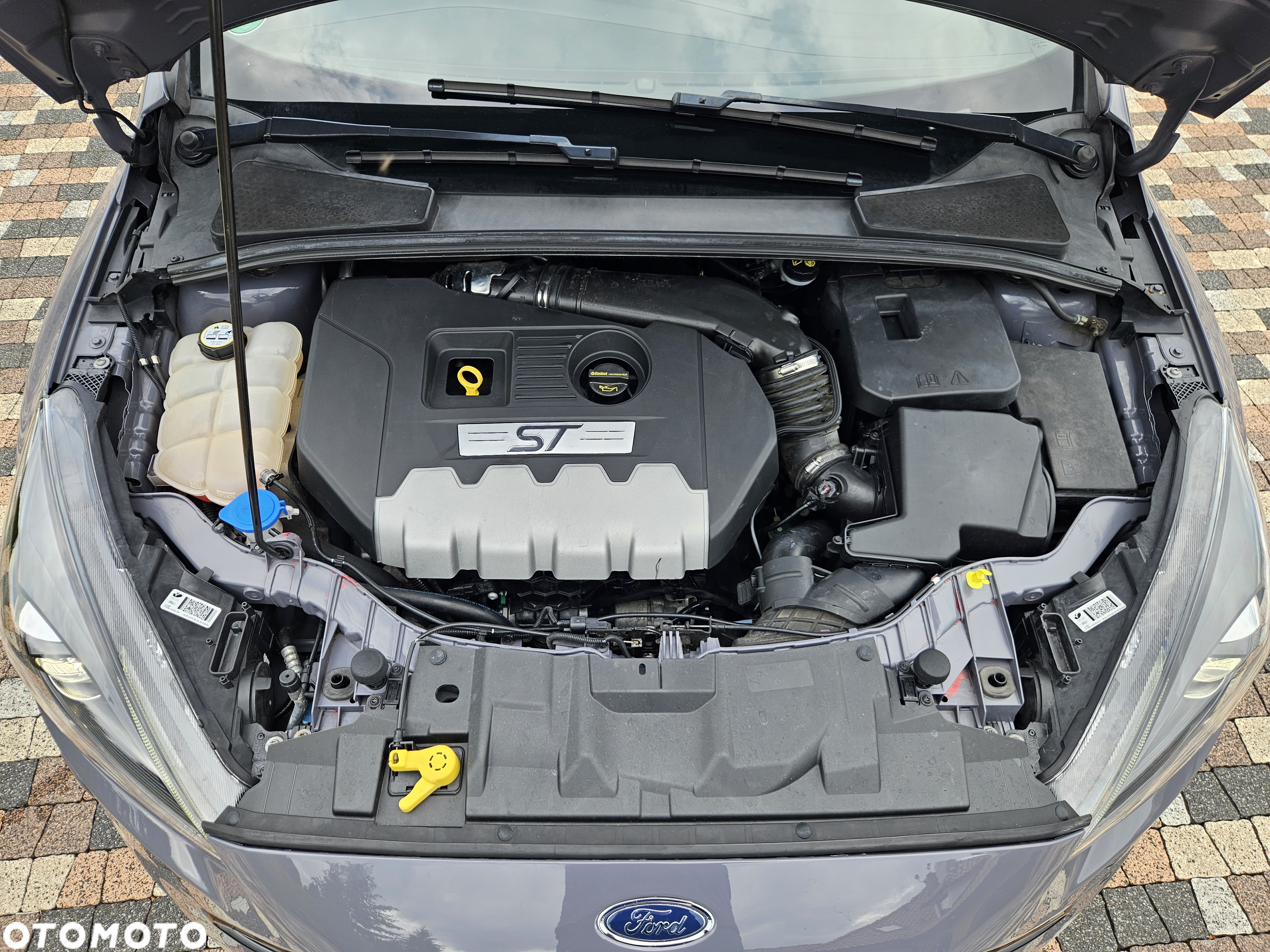 Ford Focus 2.0 EcoBoost ST - 27