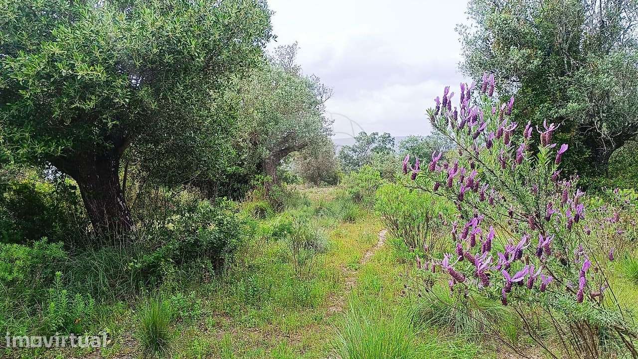 Terreno  para venda - Grande imagem: 2/16