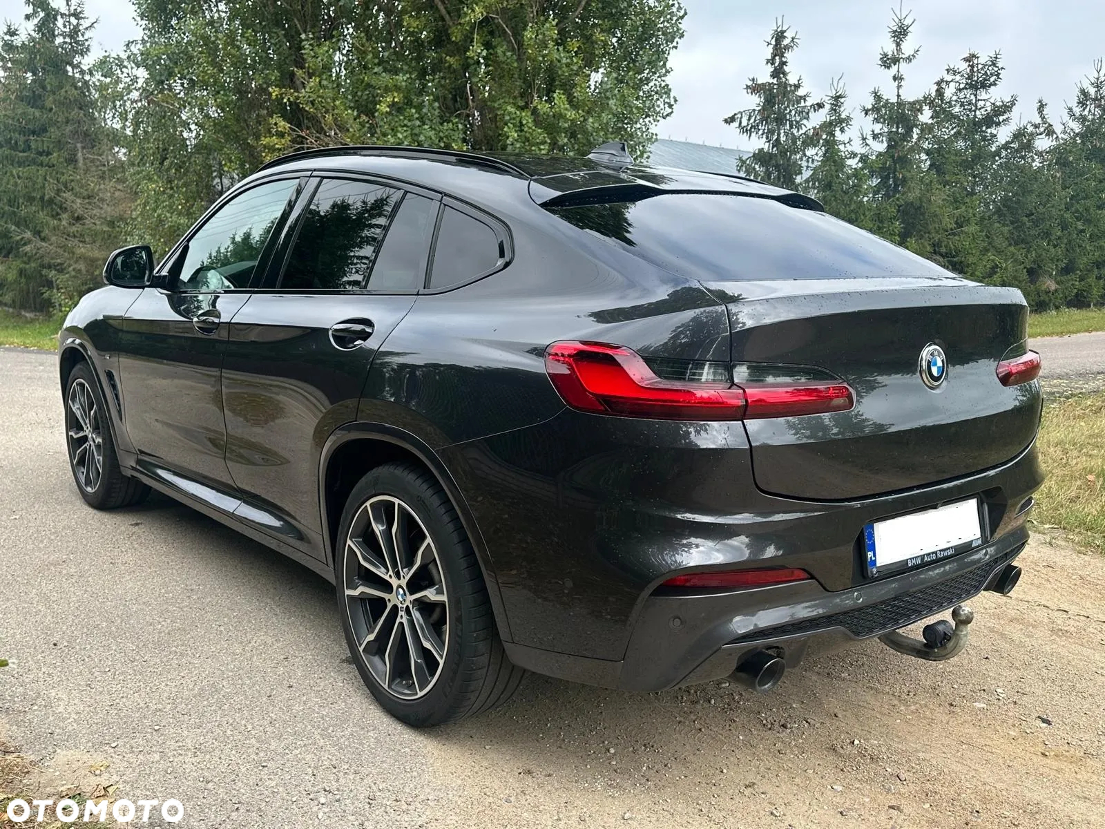 BMW X4 xDrive30d Advantage sport - 9