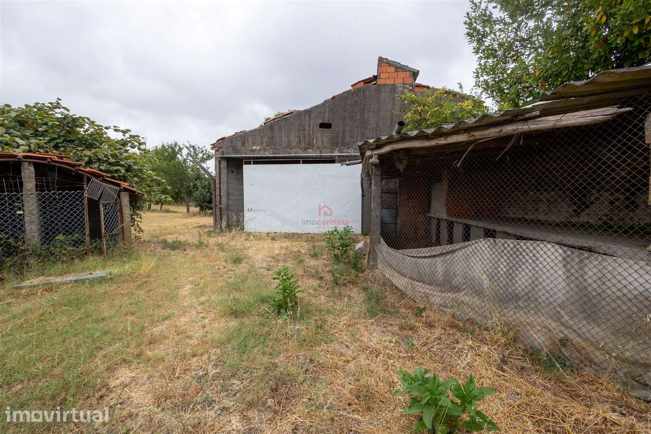 Terreno para construção com 1.700m2 em São Martinho do Campo, Santo Ti - Grande imagem: 3/4