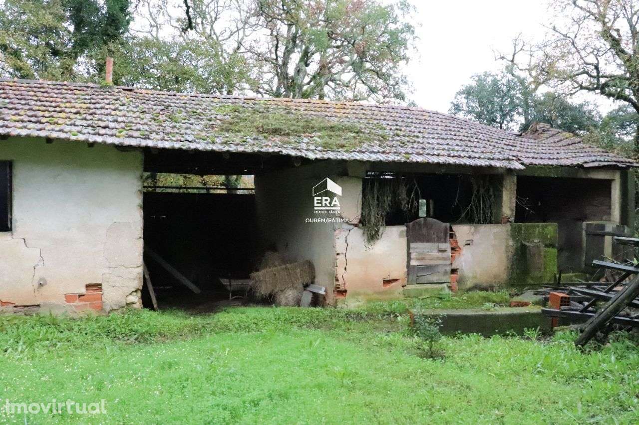 Moradia T3 em Maçãs de Dona Maria! - Grande imagem: 3/13