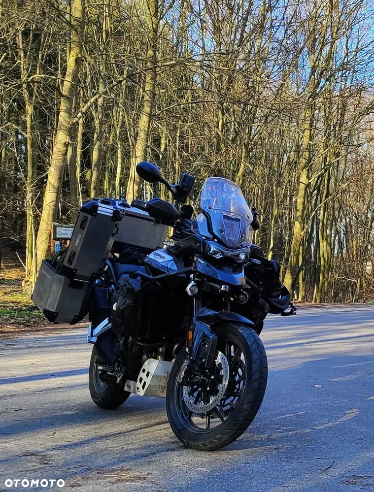 Triumph Tiger - 10