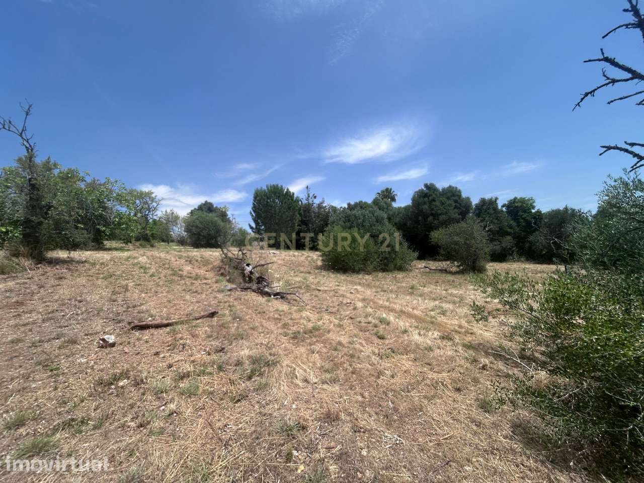 Exclusivo Terreno com 6.320m² em Silves – Natureza, Privacidade e Pote - Grande imagem: 2/59