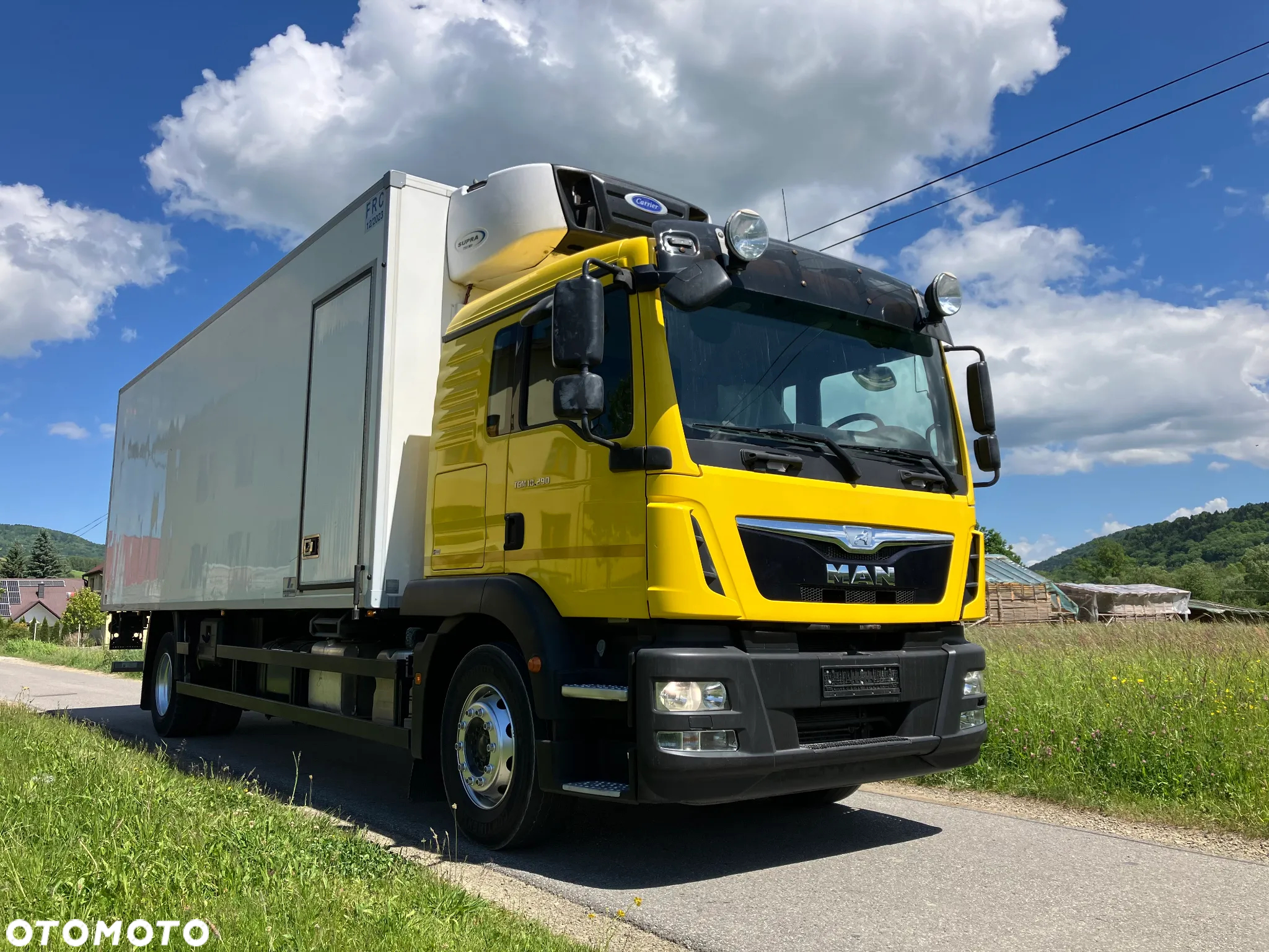 MAN MAN TGM 18.290 SYPIALKA chłodnia izoterma kontener - 2