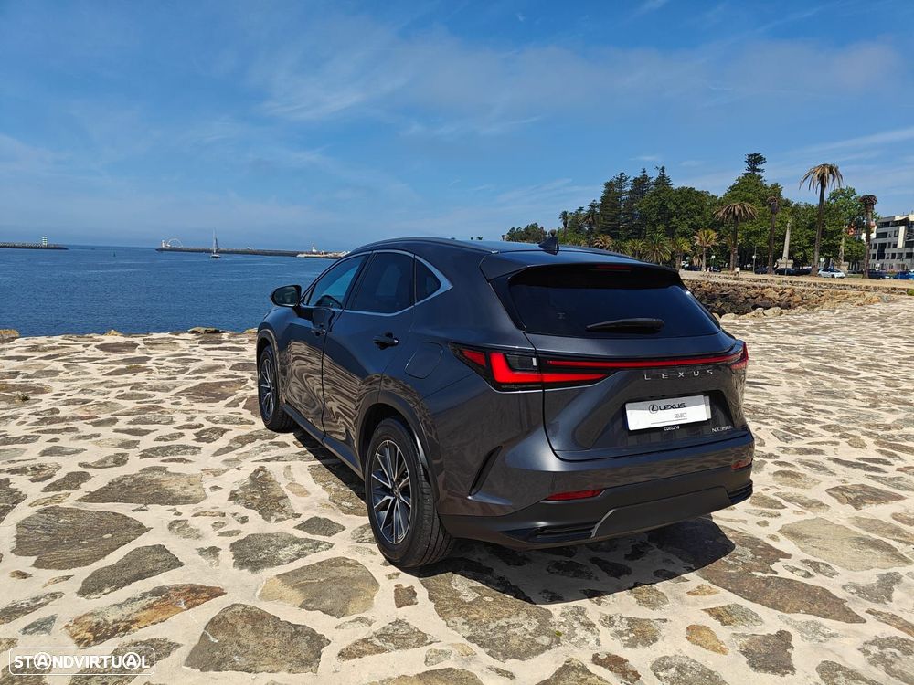 Lexus NX 350h Executive Plus - 13