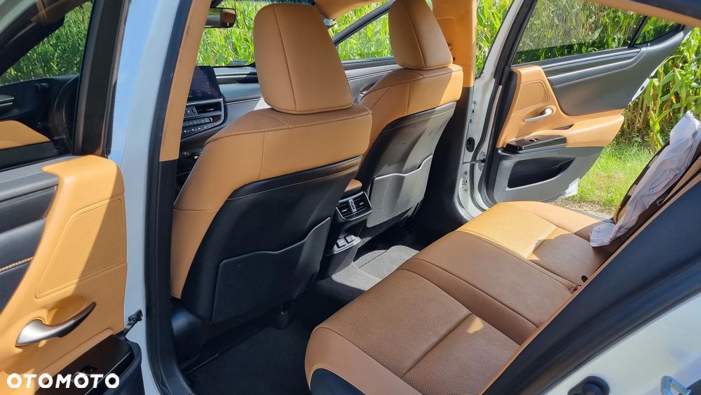 Lexus ES 300h Prestige - 31