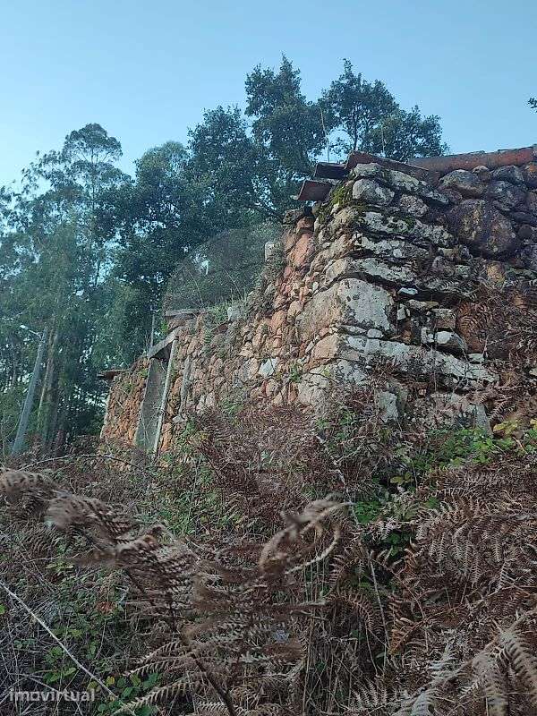 Terreno  para venda - Grande imagem: 5/13