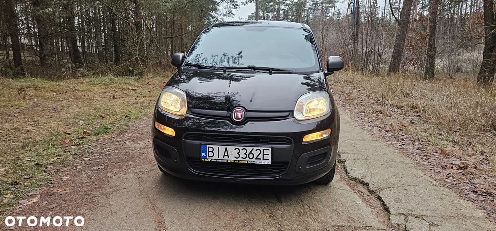Fiat Panda 1.2 Young - 2