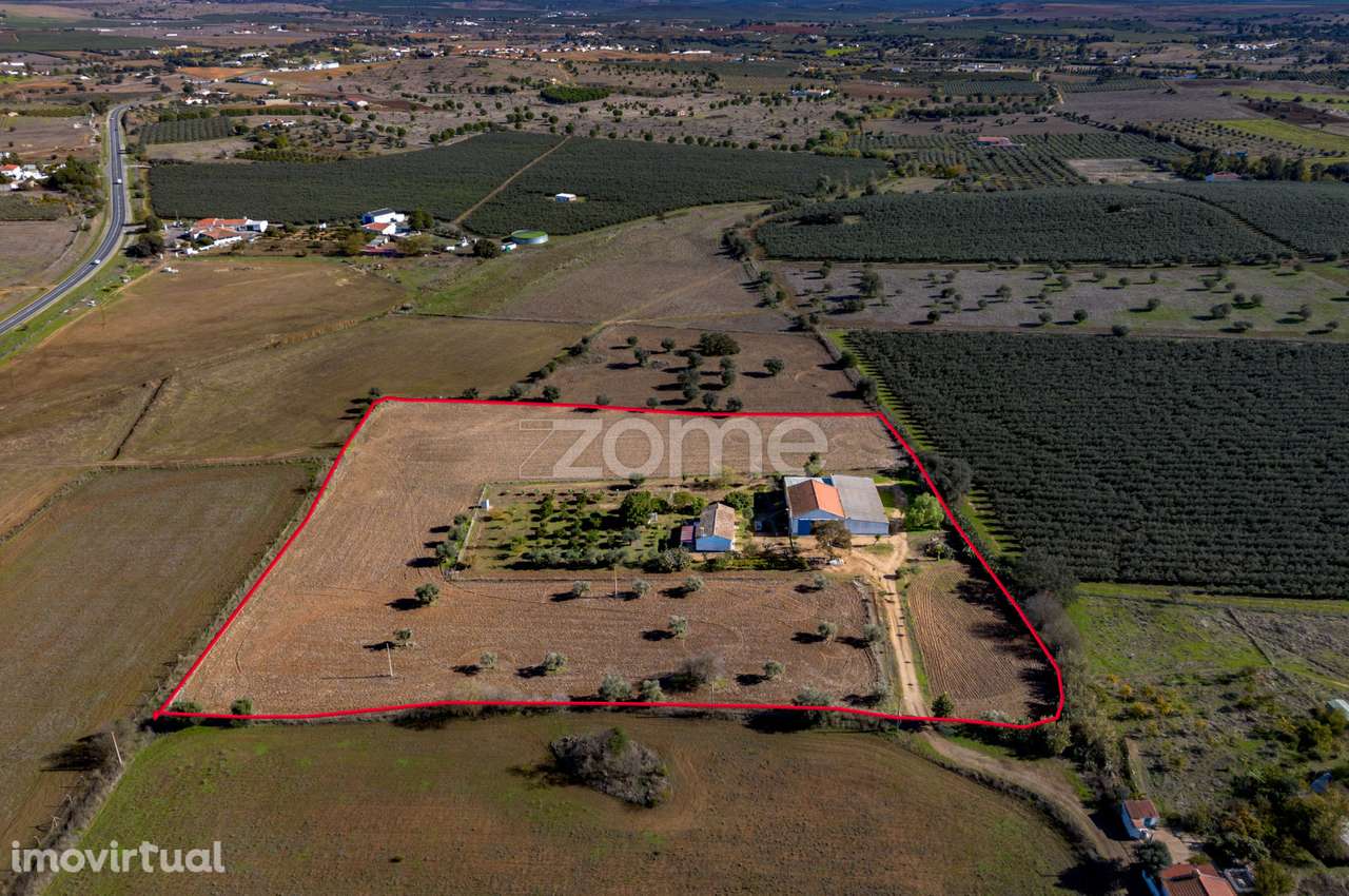 Monte do Ribeiro dos Frades com 2,5Ha - às portas da cidade - Grande imagem: 3/40