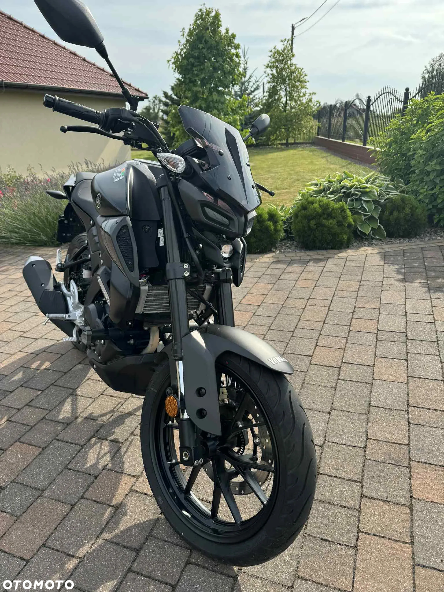 Yamaha MT - 6