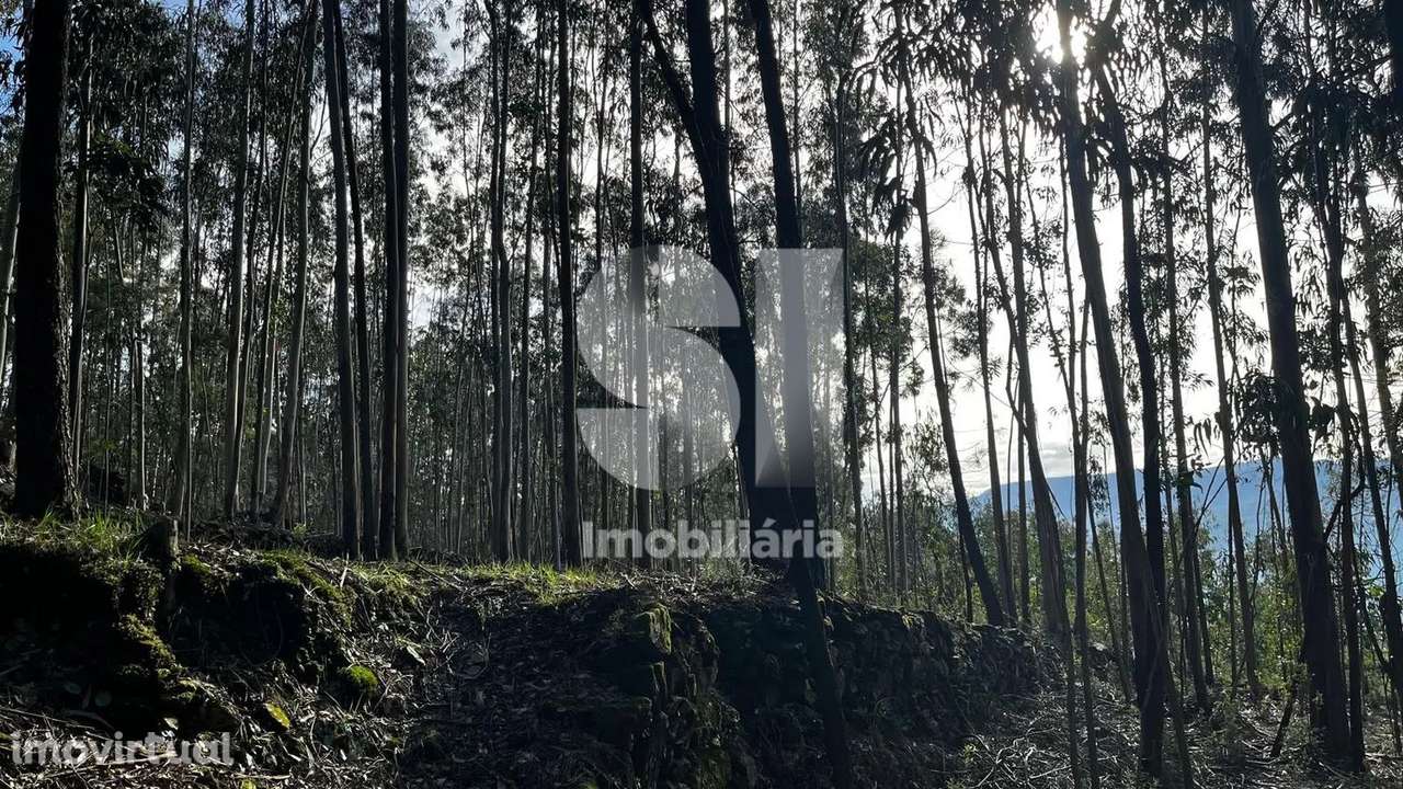 Vendo Terreno para Construção - 2.057m2 - Grande imagem: 2/7